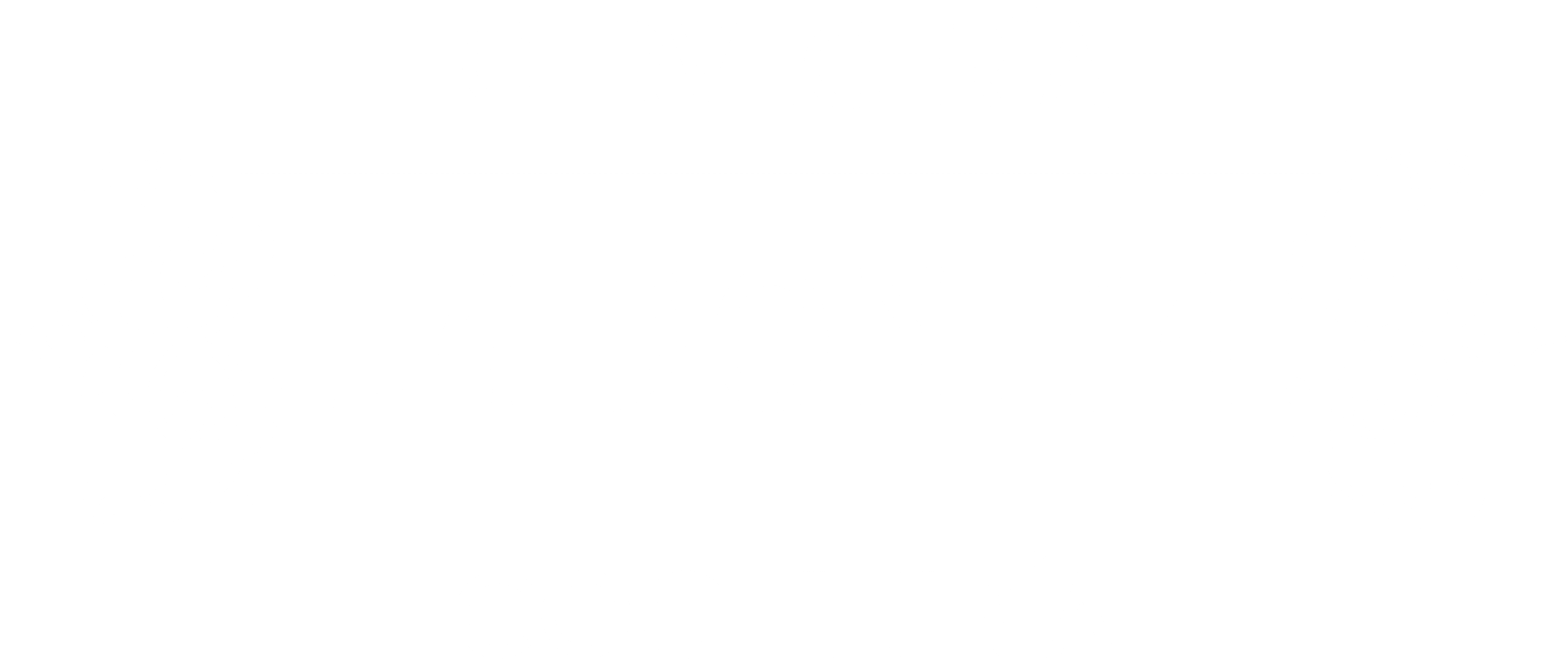 LOGO LA BONITA blanco